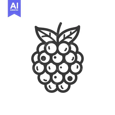 Popular premium asset: Black and White Line Drawing of a Raspberry