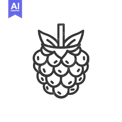 Premium design asset: Black and White Line Drawing of a Raspberry