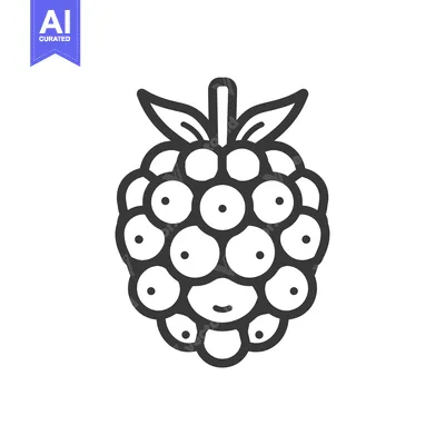 Premium design asset: Black and White Line Drawing of a Raspberry