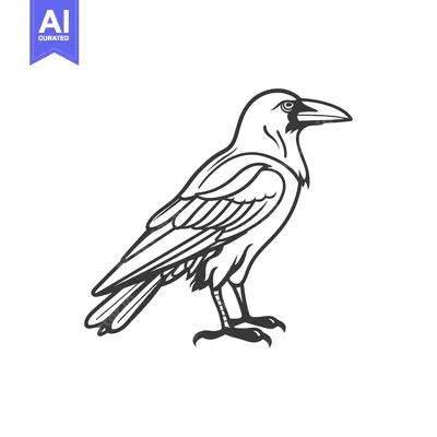 Aset premium populer: Black and White Line Drawing of a Raven