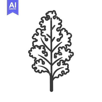Aset premium populer: Black and White Line Drawing of a Single Kale Leaf