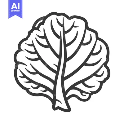 Aset desain premium: Black and White Line Drawing of a Single Leaf