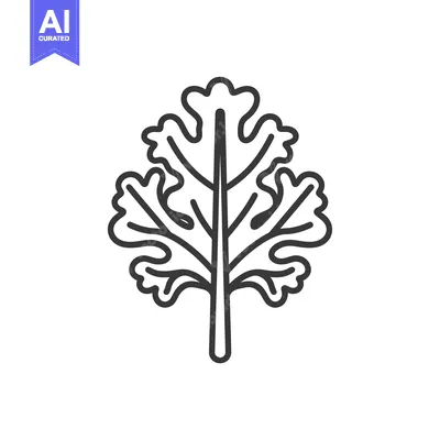 Aset desain premium: Black and White Line Drawing of a Single Parsley Leaf