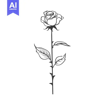 Aset premium populer: Black and White Line Drawing of a Single Rose