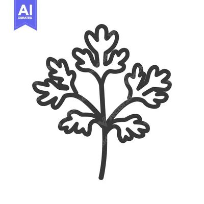 Black and white line drawing of a single sprig of cilantro