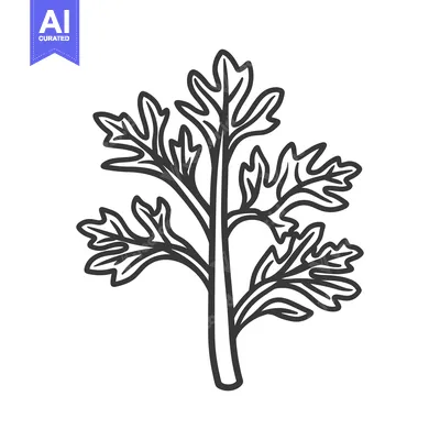 Aset premium populer: Black and White Line Drawing of a Single Sprig of Parsley