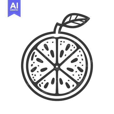 Aset desain premium: Black and White Line Drawing of a Sliced Citrus Fruit with a Leaf