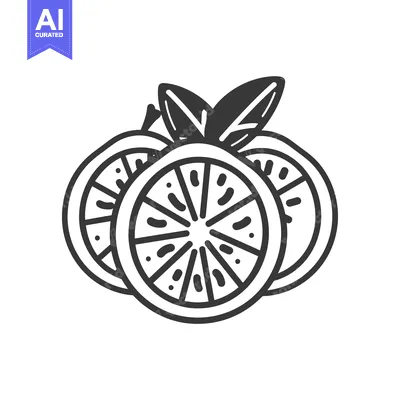 Popular premium asset: Black and White Line Drawing of a Sliced Orange with Leaves