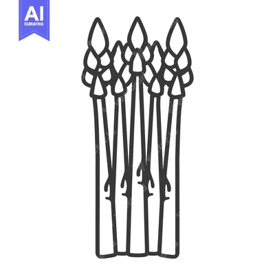 Premium design asset: Black and White Line Drawing of Asparagus Spears
