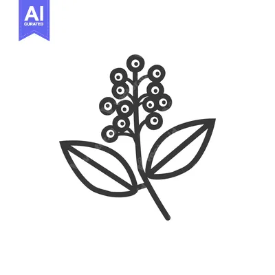 Popular premium asset: Black and White Line Drawing of a Sprig of Berries