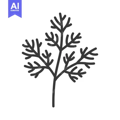 Aset desain premium: Black and white line drawing of a sprig of parsley