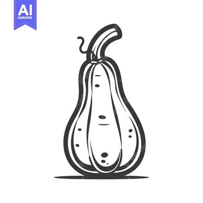 Aset premium populer: Black and white line drawing of a squash