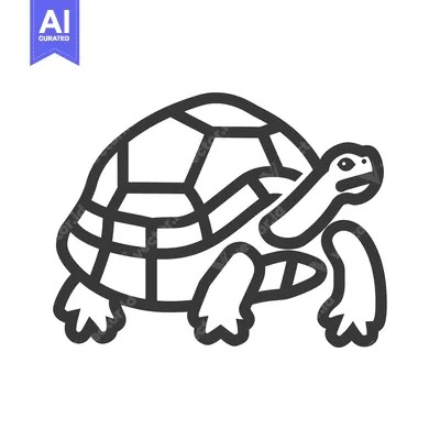 Popular premium asset: Black and White Line Drawing of a Turtle