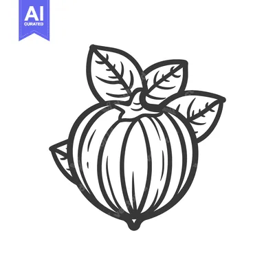 Premium design asset: Black and White Line Drawing of a Whole Pomegranate Fruit with Leaves