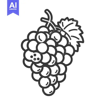 Aset premium populer: Black and White Line Drawing of Grapes with a Leaf