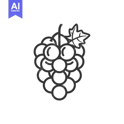 Aset desain premium: Black and White Line Drawing of Grapes with a Single Leaf