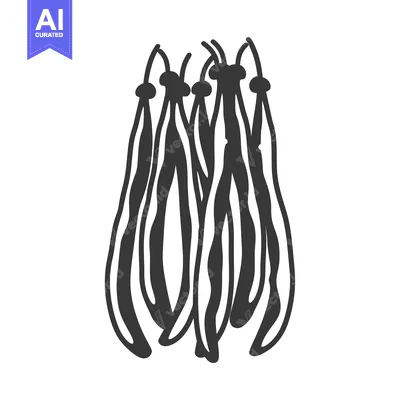 Aset desain premium: Black and White Line Drawing of String Beans