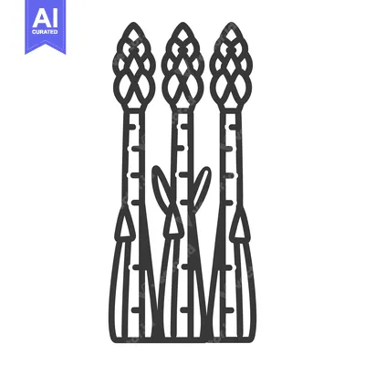 Aset desain premium: Black and white line drawing of three asparagus spears