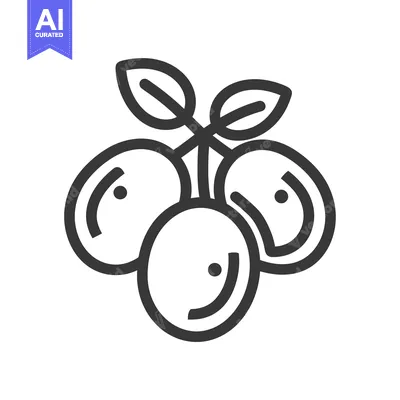 Aset desain premium: Black and white line drawing of three berries with leaves