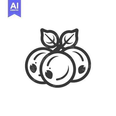 Aset desain premium: Black and White Line Drawing of Three Blueberries with Leaves