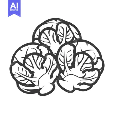 Aset premium populer: Black and White Line Drawing of Three Brussels Sprouts