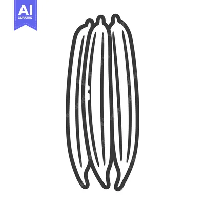 Aset desain premium: Black and White Line Drawing of Three Okra Pods