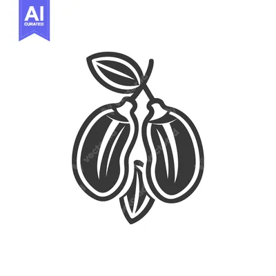 Aset premium populer: Black and White Line Drawing of Two Olives on a Stem with a Leaf