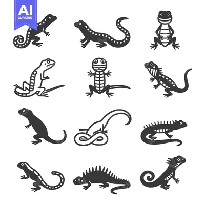 Aset desain premium: Black and White Lizard Silhouettes