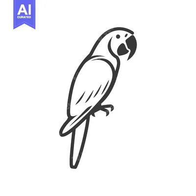Aset desain premium: Black and white outline drawing of a parrot