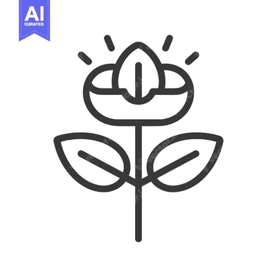 Aset desain premium: Black and white outline drawing of a stylized flower