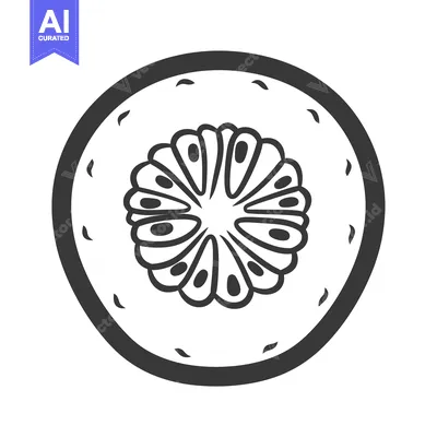 Aset premium populer: Black and white outline illustration of a kiwi fruit slice