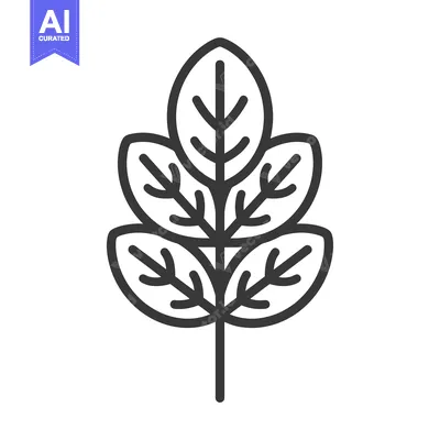 Popular premium asset: Black and White Outline Illustration of a Leaf Branch