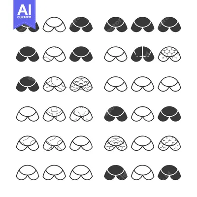 Aset premium populer: Black and White Outline Illustrations of a Shell
