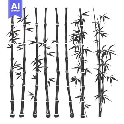 Aset premium populer: Black and White Silhouette Illustrations of Bamboo Plants