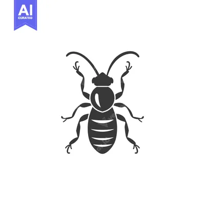 Aset premium populer: Black and white silhouette of a beetle