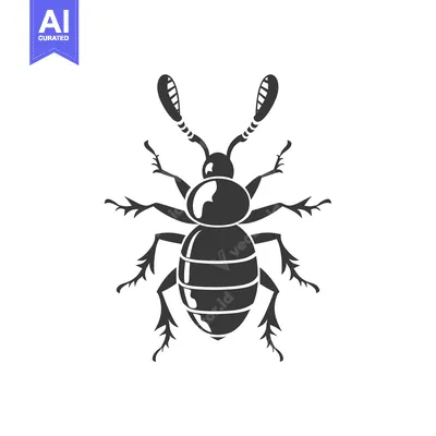 Aset premium populer: Black and White Silhouette of a Beetle with Long Antennae