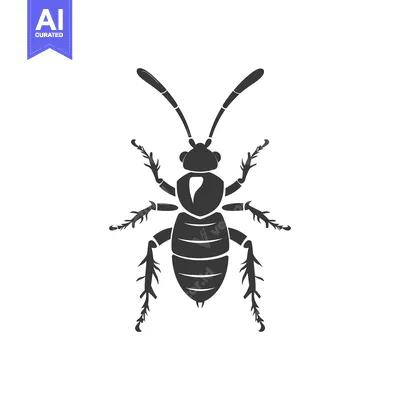 Aset premium populer: Black and White Silhouette of a Beetle with Long Antennae