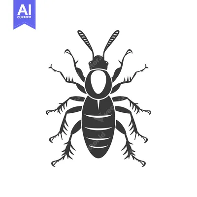 Aset premium populer: Black and white silhouette of a beetle with six legs and antennae