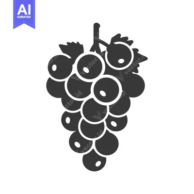 Popular premium asset: Black and white silhouette of a bunch of grapes