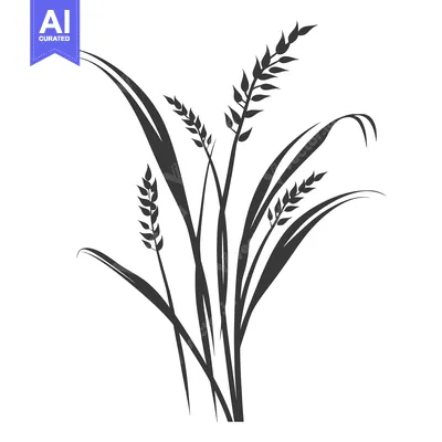 Aset premium populer: Black and white silhouette of a cluster of wheat stalks