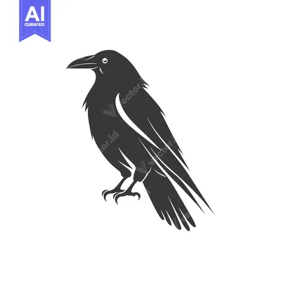 Popular premium asset: Black and White Silhouette of a Crow in a Standing Position