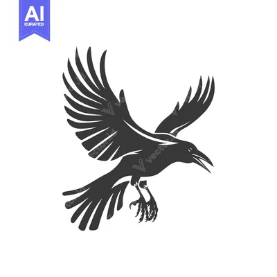 Aset premium populer: Black and White Silhouette of a Crow in Flight