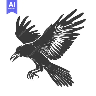 Aset premium populer: Black and White Silhouette of a Crow in Flight