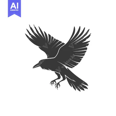 Aset premium populer: Black and white silhouette of a crow in flight
