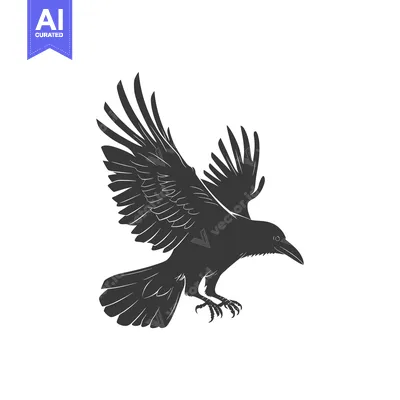Aset premium populer: Black and White Silhouette of a Flying Raven