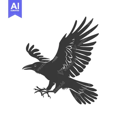 Aset premium populer: Black and White Silhouette of a Flying Raven