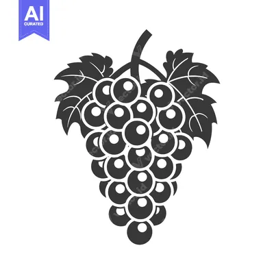 Aset premium populer: Black and white silhouette of a grapevine with grapes