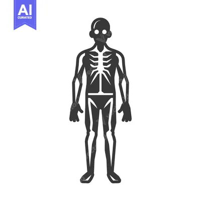 Aset desain premium: Black and White Silhouette of a Human Figure with Visible Skeleton