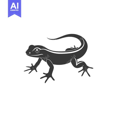 Aset premium populer: Black and White Silhouette of a Lizard