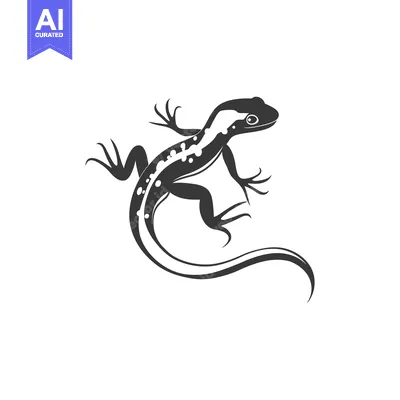 Popular premium asset: Black and White Silhouette of a Lizard with a Long Tail
